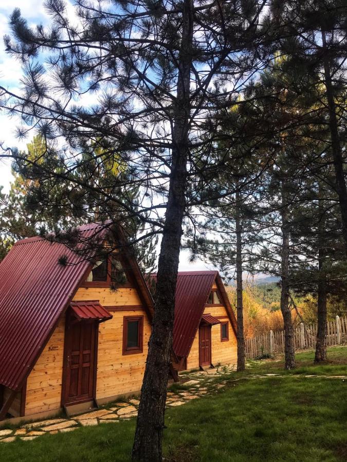 Fikri Atalay Konağı Bungalov Evleri Mengen Dış mekan fotoğraf